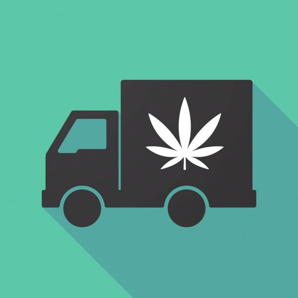 weed-delivery-theweedmedicott