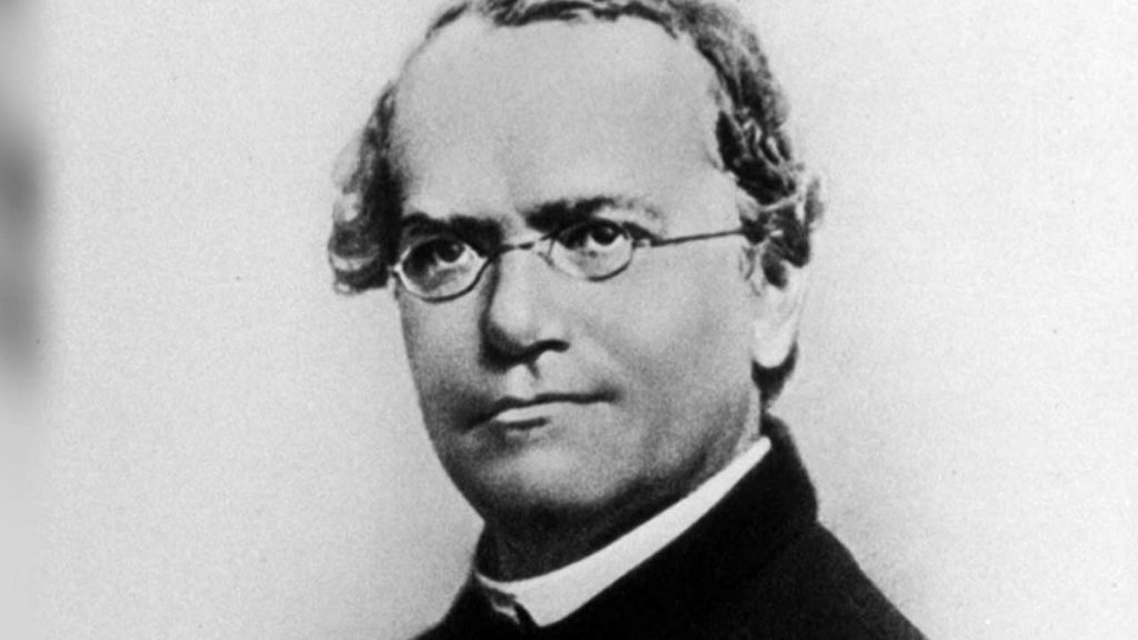 Gregor Mendel’s Research